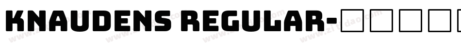 Knaudens Regular字体转换